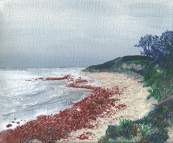Ano Nuevo Coastline Painting