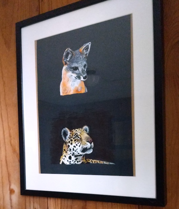 Fox, Jaguar, framed